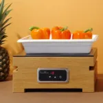 Vascheta gastronorm GN 13 (H)65 mm din portelan_img_01