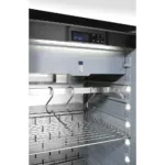 Vitrina maturat carne 352 litri, Dry aging, 2 usi, temperatura 125 gradeC_img_03