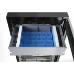 Vitrina maturat carne 352 litri, Dry aging, 2 usi, temperatura 125 gradeC_img_04